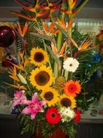 /album/fotogaleria/a3-jpg/