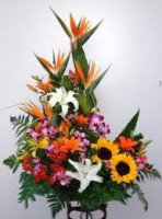 /album/fotogaleria/a4-jpg/