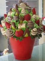 /album/fotogaleria/a7-jpg/