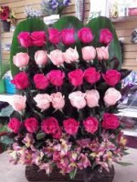 /album/fotogaleria/a25-jpg/