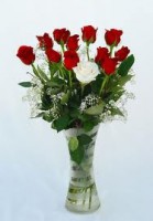 /album/fotogaleria/a27-jpg/