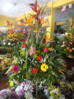 /album/fotogaleria/dsc00532-jpg/