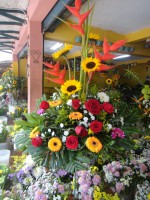 /album/fotogaleria/dsc00535-jpg/