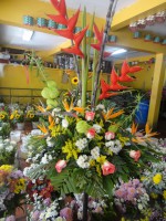 /album/fotogaleria/dsc00536-jpg/