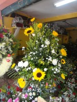 /album/fotogaleria/dsc00539-jpg/