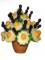 /album/fotogaleria/af-02-jpg/