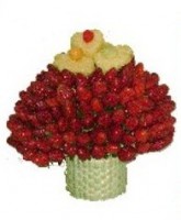 /album/fotogaleria/af-03-jpg/