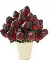 /album/fotogaleria/af-013-jpg/