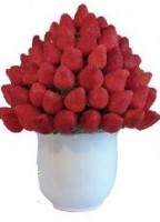 /album/fotogaleria/af-016-jpg/