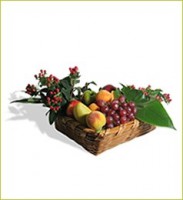 /album/fotogaleria/af-21-jpg/