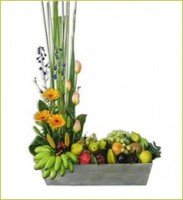 /album/fotogaleria/af-022-jpg/