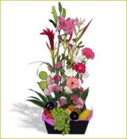 /album/fotogaleria/af-023-jpg/