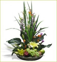 /album/fotogaleria/af-024-jpg/