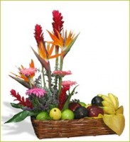 /album/fotogaleria/af-025-jpg/