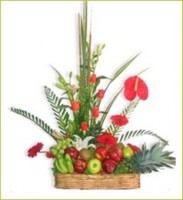 /album/fotogaleria/af-028-jpg/