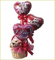 /album/fotogaleria/gp-01-jpg/