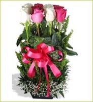 /album/fotogaleria/a393795-109306872525193-1329844713-n-jpg/