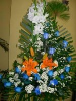 /album/fotogaleria/a396059-109306839191863-273458723-n-jpg/