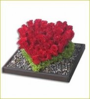 /album/fotogaleria/a396356-109326882523192-1976546235-n-jpg/