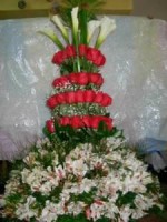 /album/fotogaleria/a396965-109306699191877-2066830772-n-jpg/