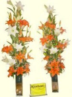 /album/fotogaleria/a401435-109326599189887-621462968-n-jpg/