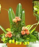 /album/fotogaleria/a402292-109326605856553-861388769-n-jpg/