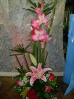 /album/fotogaleria/a407151-109326775856536-1631878089-n-jpg/