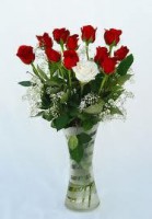 /album/fotogaleria/a407332-109326645856549-79428949-n-jpg/