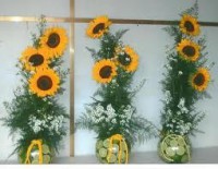 /album/fotogaleria/a407373-109326545856559-1983530463-n-jpg/