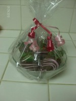 /album/fotogaleria/a400383-109320489190498-989096353-n-jpg/