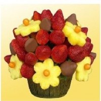 /album/fotogaleria/a402975-109318922523988-682882961-n-jpg/