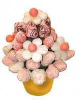 /album/fotogaleria/a407221-109318809190666-1813568855-n-jpg/