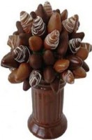 /album/fotogaleria/a407372-109319289190618-886663697-n-jpg/