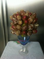 /album/fotogaleria/a560785-199494343506445-636783157-n-jpg/