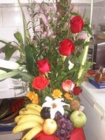 /album/fotogaleria/a545687-199428143513065-1005828725-n-jpg/