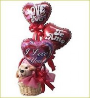 /album/fotogaleria/a402049-109323169190230-1289006643-n-jpg/